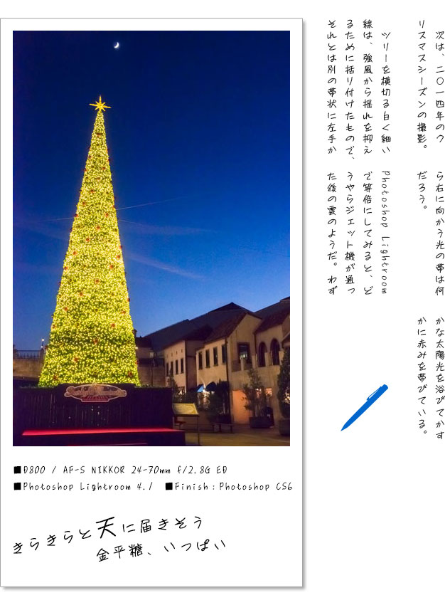 20160201-tree.jpg